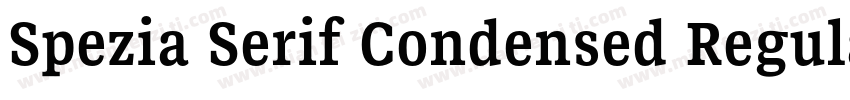 Spezia Serif Condensed Regular D字体转换
